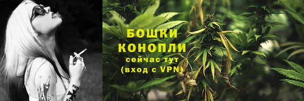 шишки Лабытнанги