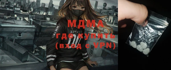 шишки Лабытнанги