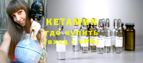 шишки Лабытнанги