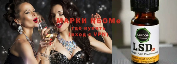 шишки Лабытнанги
