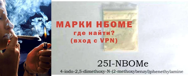 шишки Лабытнанги
