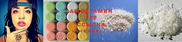 шишки Лабытнанги
