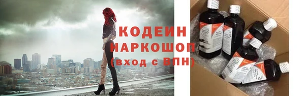 шишки Лабытнанги