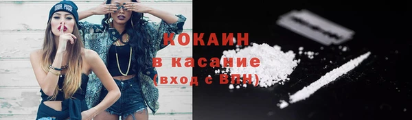 шишки Лабытнанги
