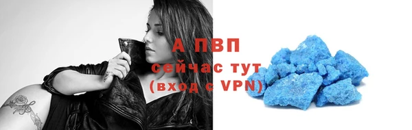 шишки Лабытнанги