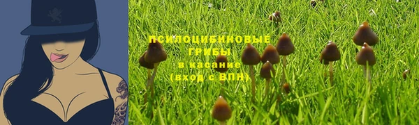 ПСИЛОЦИБИНОВЫЕ ГРИБЫ Кукмор