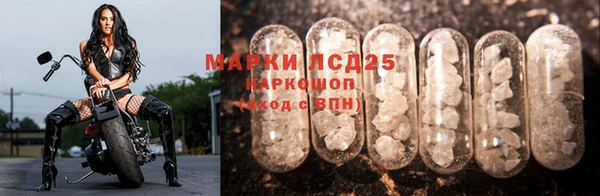сатива Майский