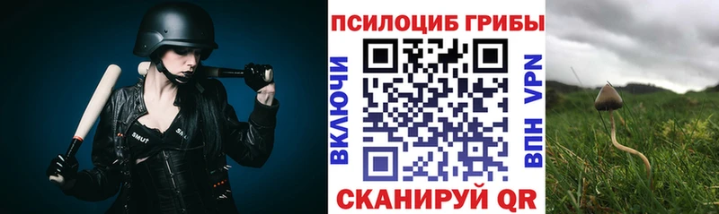 хочу наркоту  Новоульяновск  Галлюциногенные грибы мухоморы 